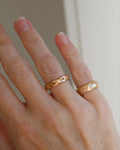 Chubby Rings 18K Gold 1891 and 1973