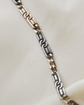 Antique Niello Silver Watch Chain w Horse Shoe and Extra Bolt Clasp 1890