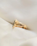 Perfect Antique Blood Stone Signet Coat of Arms Ring 18K Gold 1890s