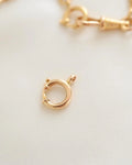Set of an Antique Dog clip and Loop Claps 18K Gold Beg 1900s