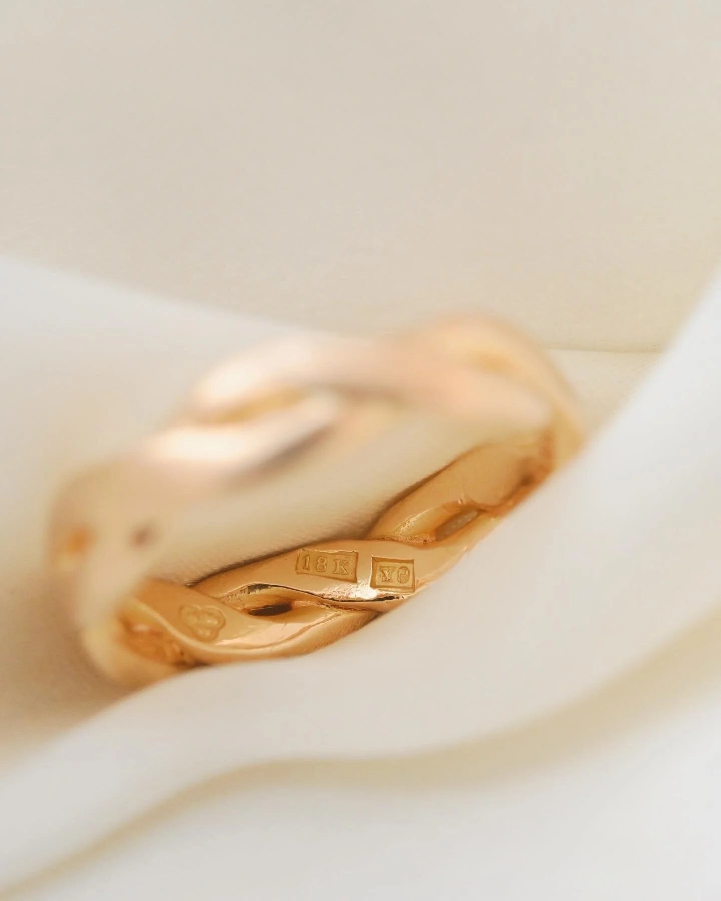 Chubby Rings 18K Gold 1891 and 1973
