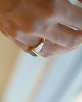 Swedish Vintage Signet Ring w Bloodstone 18K Gold